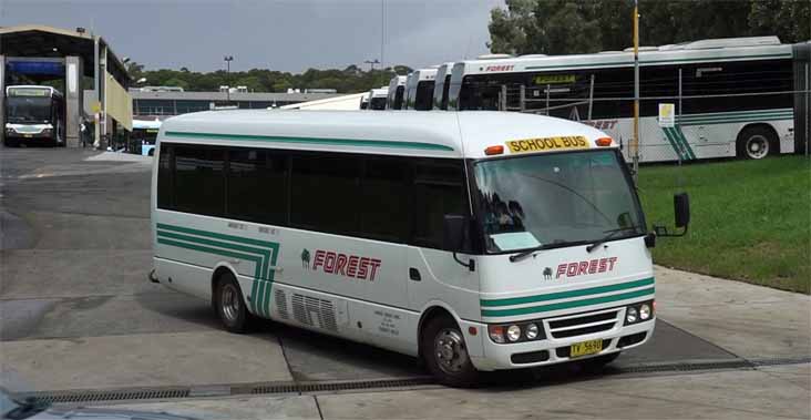 Forest Coach Lines Fuso Rosa TV5690